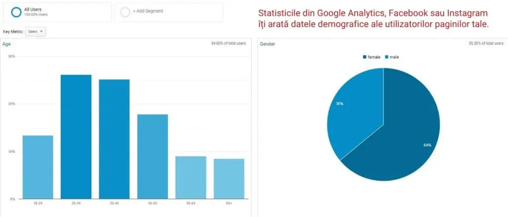 statistici demografice google analytics