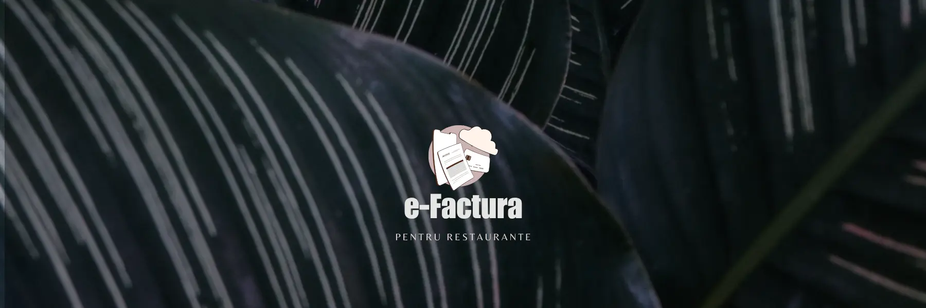header integrare efactura vilicorest soft restaurant